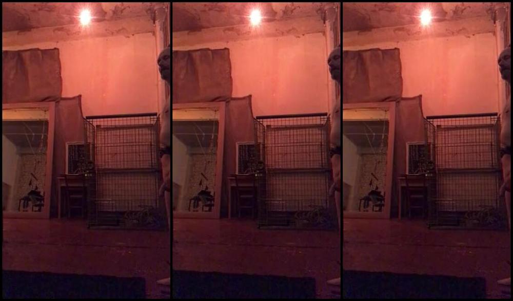 Ladydarkangeluk Onlyfans After The Bare Feet Ball Busting We Went On To Trainers For The Next Twelve Kicks