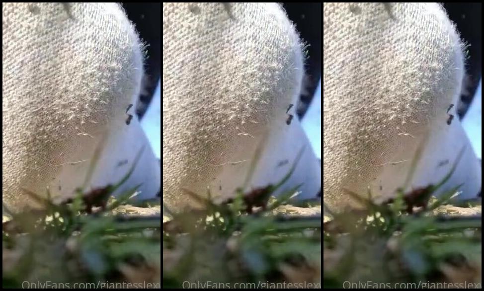 Goddes Lexy Nicknamed Giantesslexy Onlyfans Video 756651