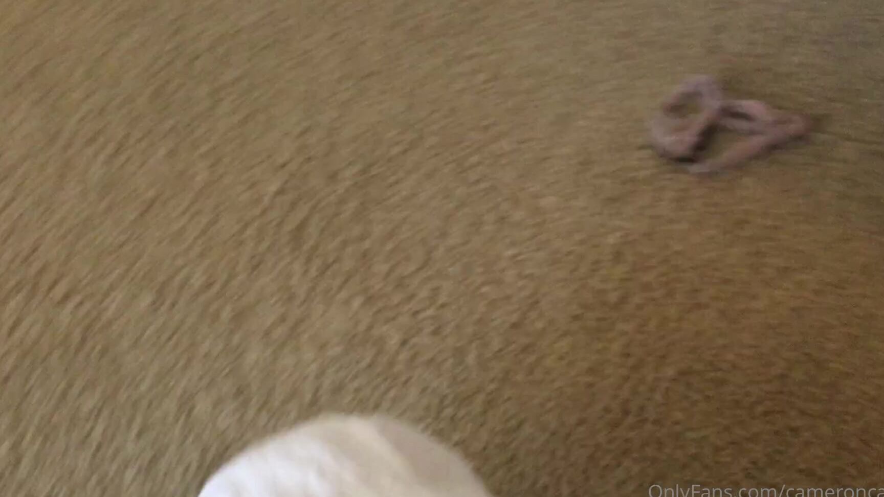 cameroncanela-18-10-2020-1098203124-i-need-a-new-step-brother...-taking-applications-now-