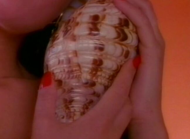 "Zara Whites, Jeanna Fine, Raven, Ashlyn Gere, Veronica Dol, Sabre as Saber, Danielle Rodgers, Valerie Stone, Nikki Wilde as Nicole Wild, Ashley Lauren as Kristen, Randy West, Randy Spears, Rocco Siffredi, Sebastian" Feature, Erotic Vignette, Classic