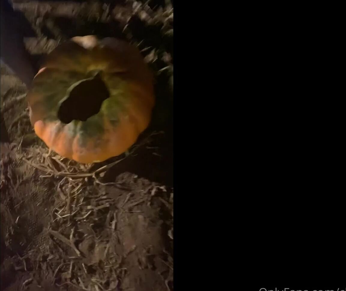 Clca69 1180618547 11 05 2020 Pumpkin Patch On Halloween