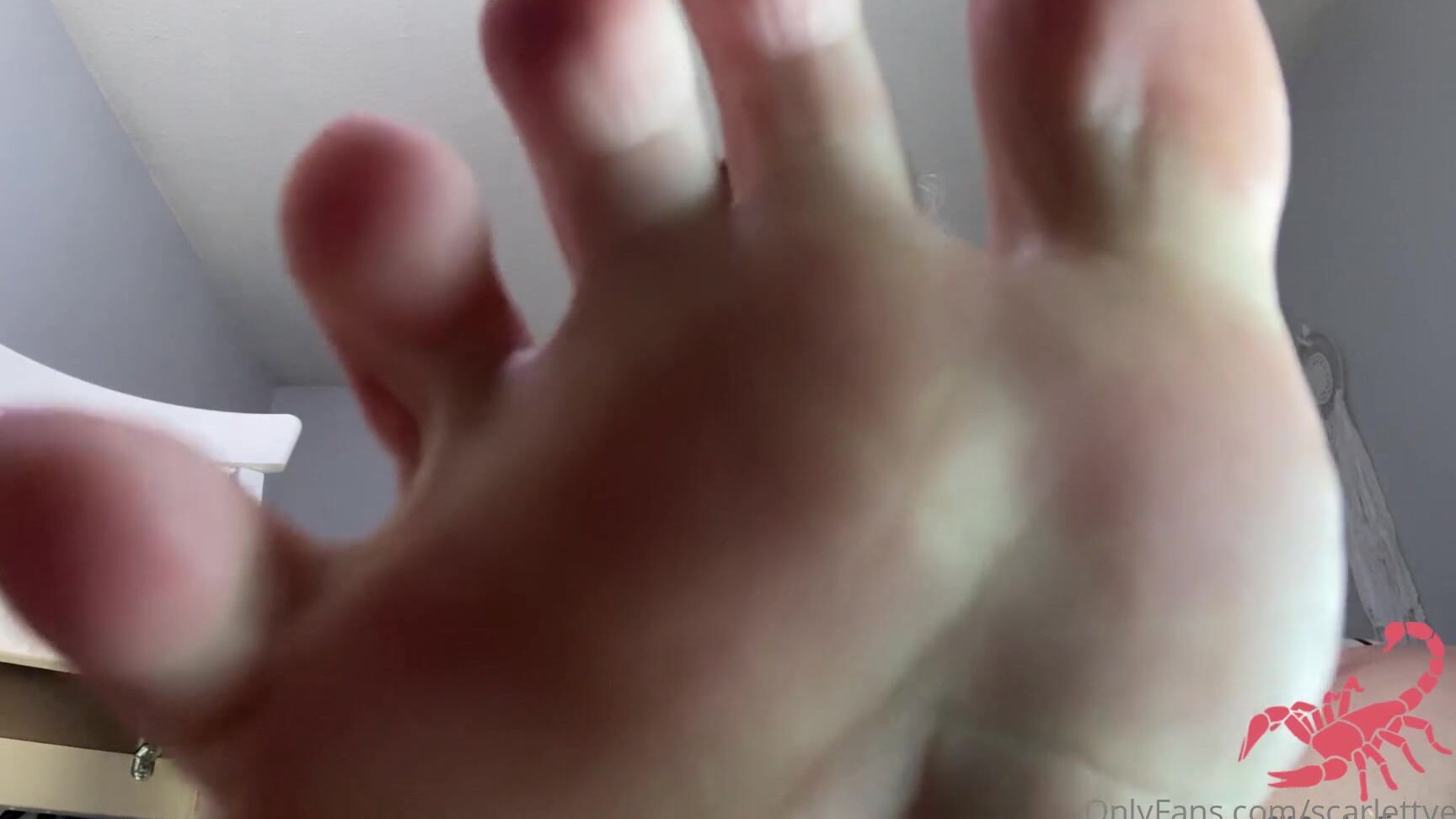 Scarlettven M Tiny Tried To Hide From Me This Is Onlyfans XXX