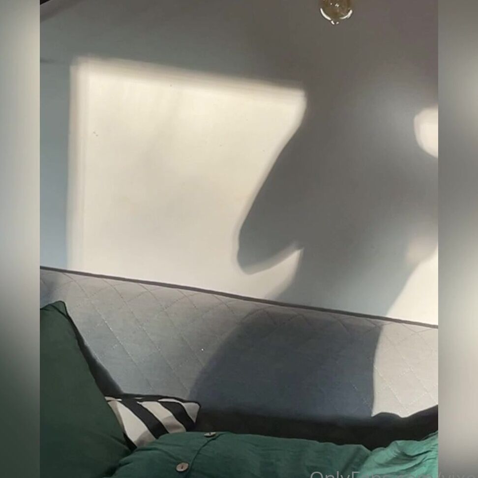 Vixenp 2135042922 06 13 2021 Shapes