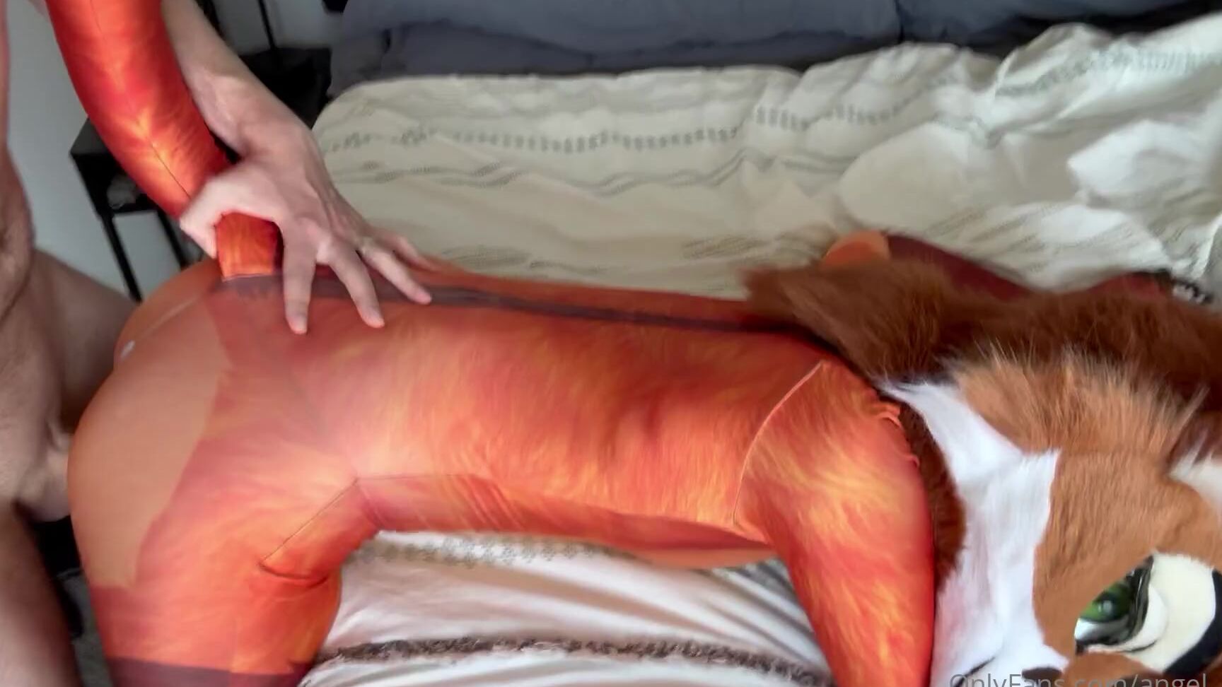 Angel Pups 1300255097 Didn T Take Long To Break It In 01 0Hu6Gjjxa58So1Co3M6V4 Source