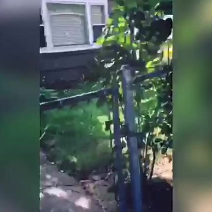 Erincarroll Tgfe Take A Walk With Me