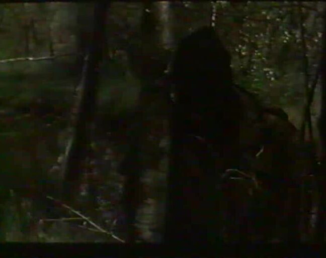 "Brigitte Lahaye, Marilyn Jess, Olinka, Karine Stephen, Cathy StewartRita Mitsuko, Claudine Beccarie, Shirley" Group, Compilation, Hardcore, Lesbian Porno stars françaises SiteRip