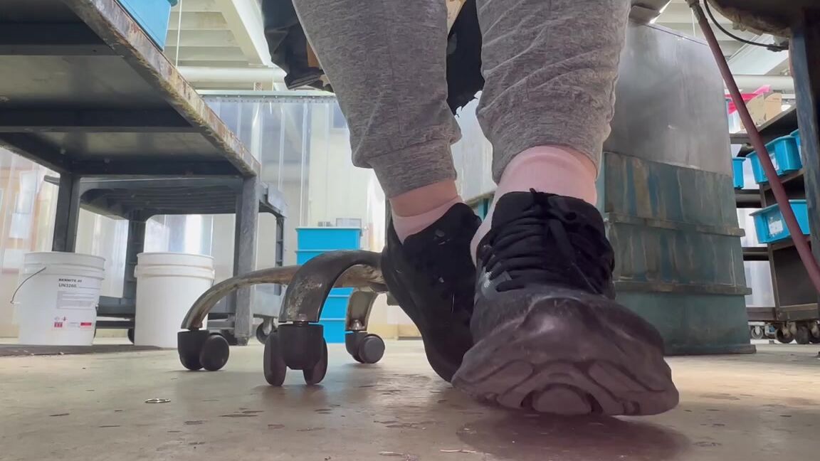 Paws And Klaws Foot Fetish 08 29 2024 Onlyfans Video New Set Reveal