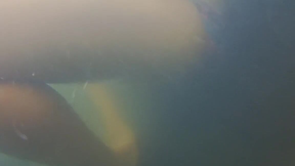 dream4angel underwater open pussy into the vagina fall touristic public waterfall Pornhub