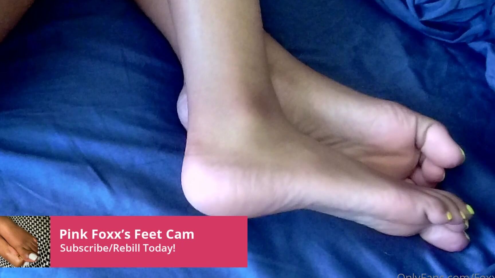 Foxxpink Enjoy Watch My Feet In My New Feet Cam While I Suck On This White Cock Hellopink