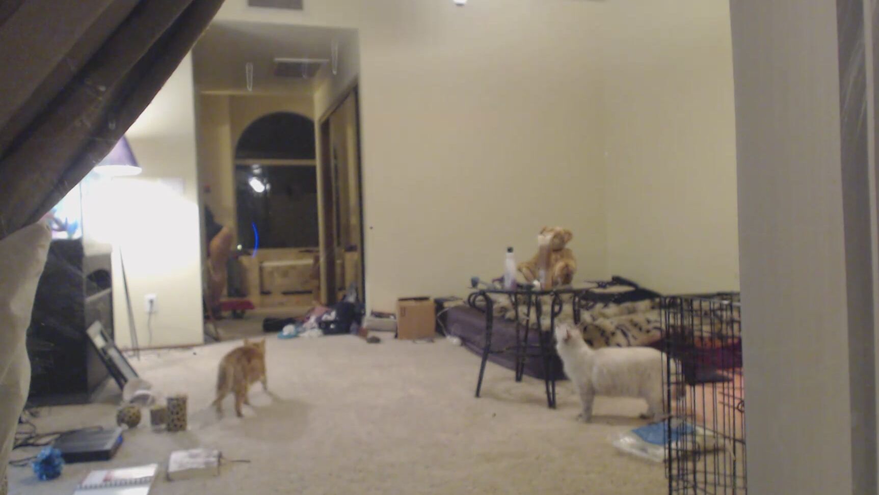 Exhibitionism, Fingering, Hidden Cam, Masturbation, Voyeur savannah rose spy on me ManyVids