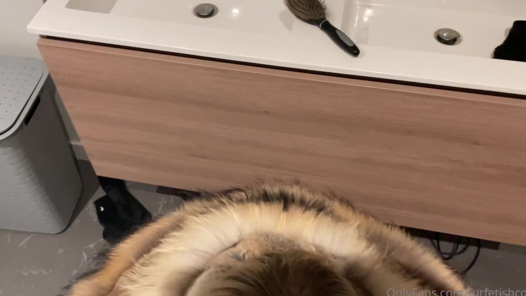 Furfetishcouple Double Pjs Request Here It Is