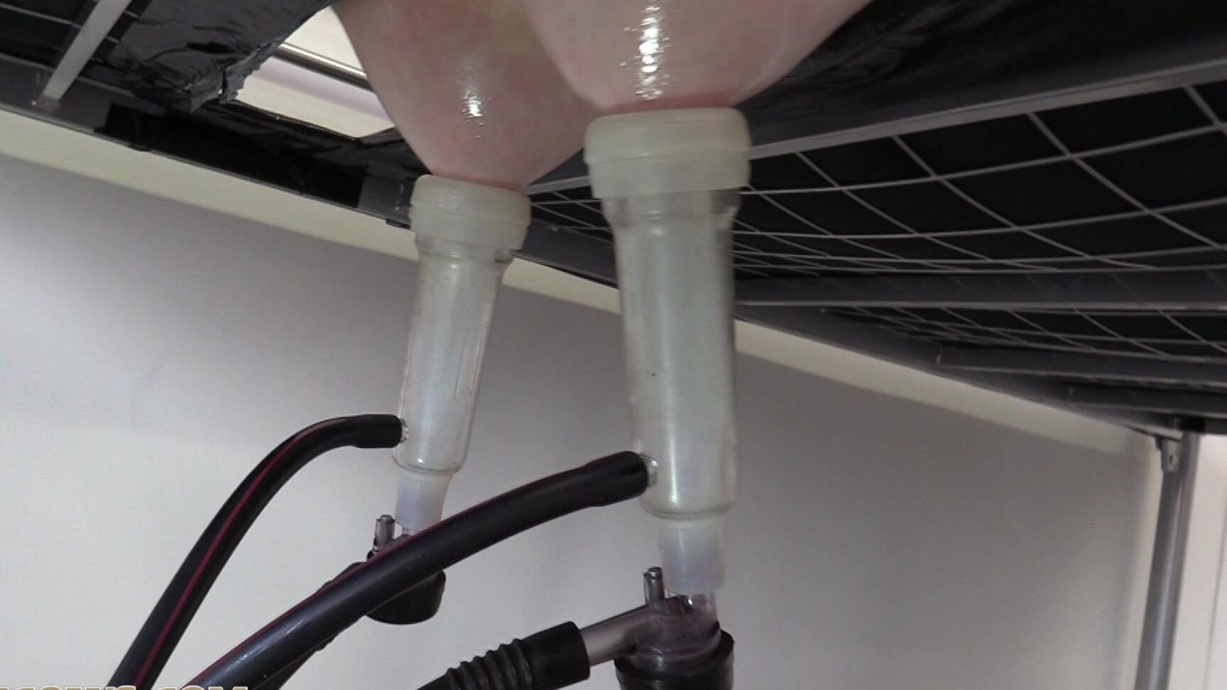 milking machine, bondage, vibrator Charlie Ten new HuCow HuCows.com