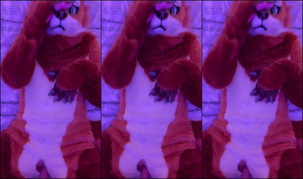 Angel Pups 735288797 No Words Just Breed 01 00Ca6B91 01D4 4007 B546 7Aee0Ce27A31