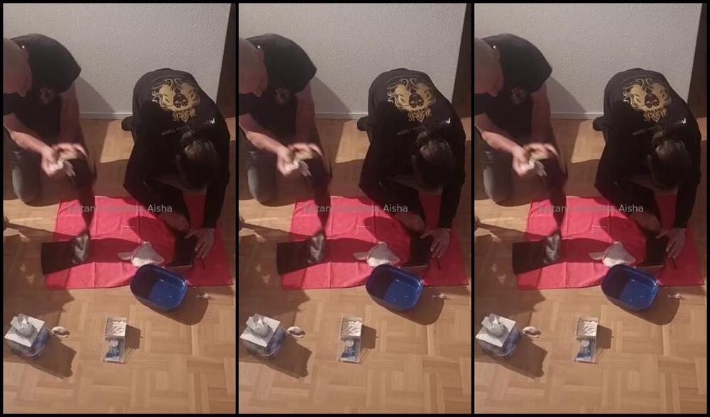 Sultana Aisha Nicknamed Sultanaaisha 06 10 2025 Onlyfans Video My Throne Does Not Tolerate Emptiness