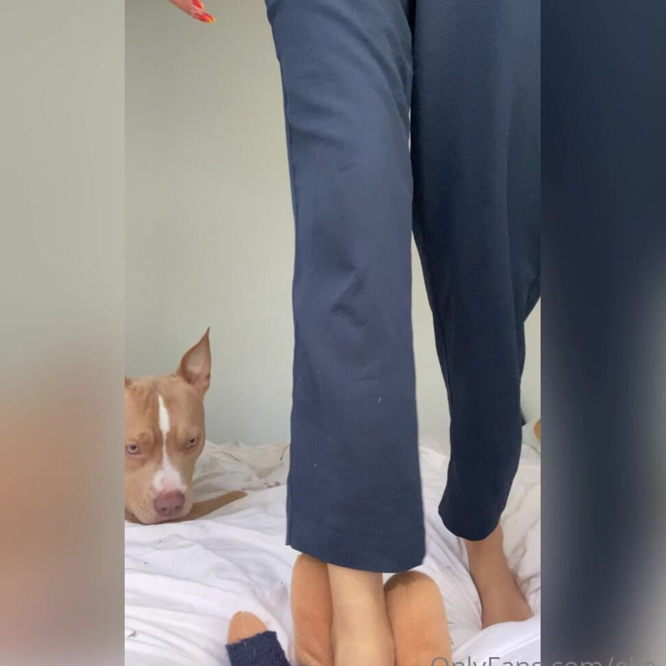 Elle O F 2145138148 06 25 2021 Trampling Bear I Wanted A Bigger Plush Pisoteando Meu Ursinho Ele Podia Ser Maior