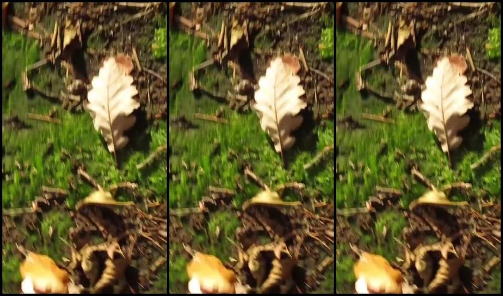 Neolasoles Nicknamed Neolasoles Onlyfans Video 1301