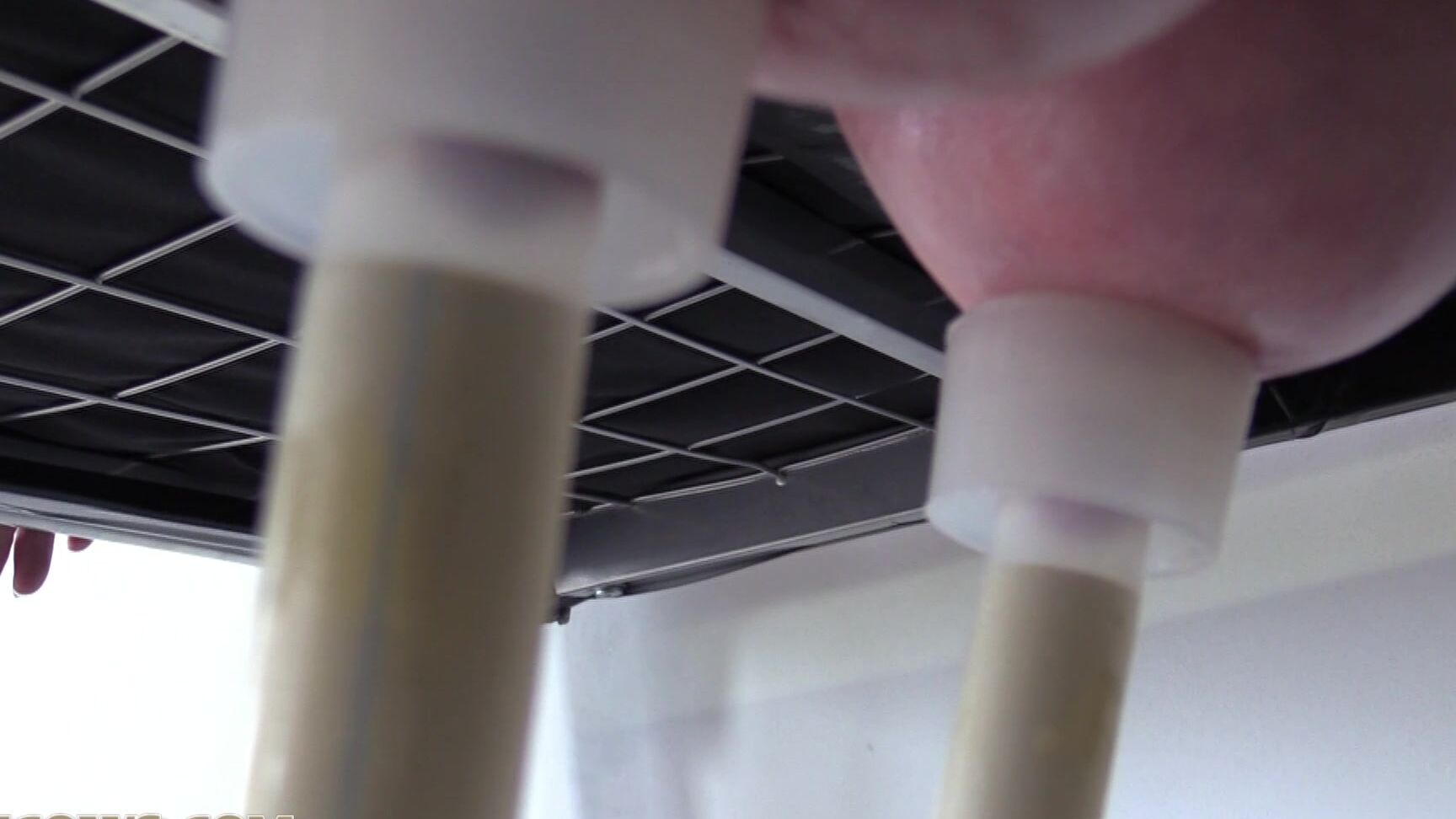 blindfold, gag, bondage, nipple clamps, milking machine Our new purchase HuCow 54 HuCows.com