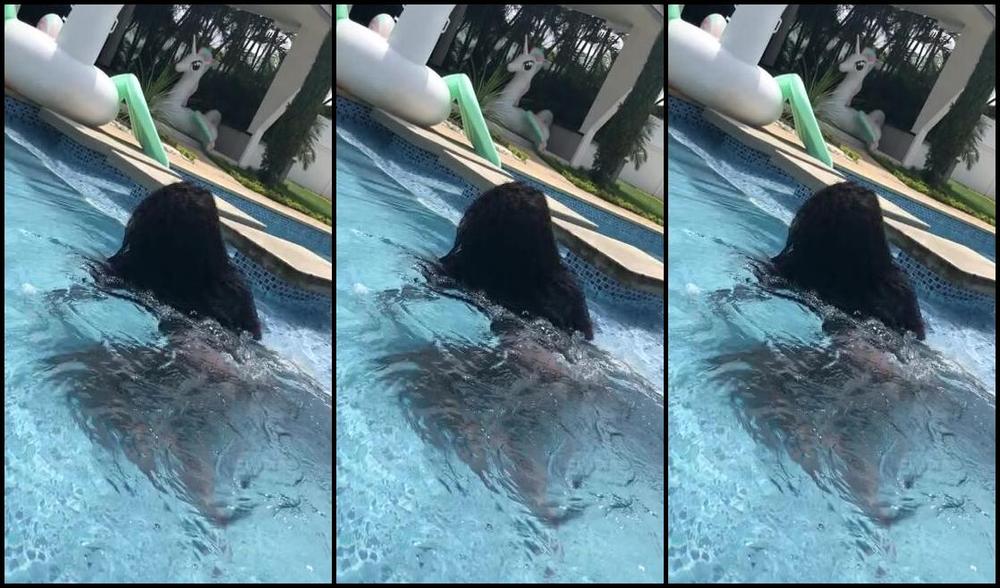 Mistress Gabby Nicknamed Blackgabbydoll Onlyfans Happy Custmer Appreciation Month Resubscribing Is Over 12 Off This Month Special Big Frea