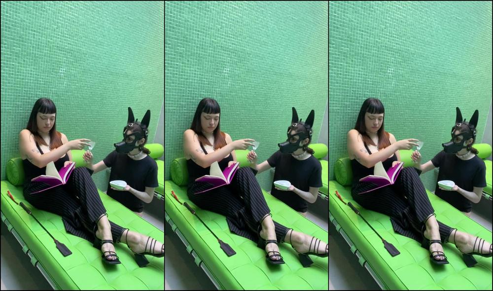 Bimbydoll 3622592387 12 26 2024 My Erotic Book Is More Entertaining Than You But Your Body Is Not Totally Useless Just