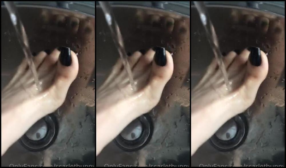 Scarletbunny Nicknamed Scarletbunnyy Onlyfans Scarletbunny16