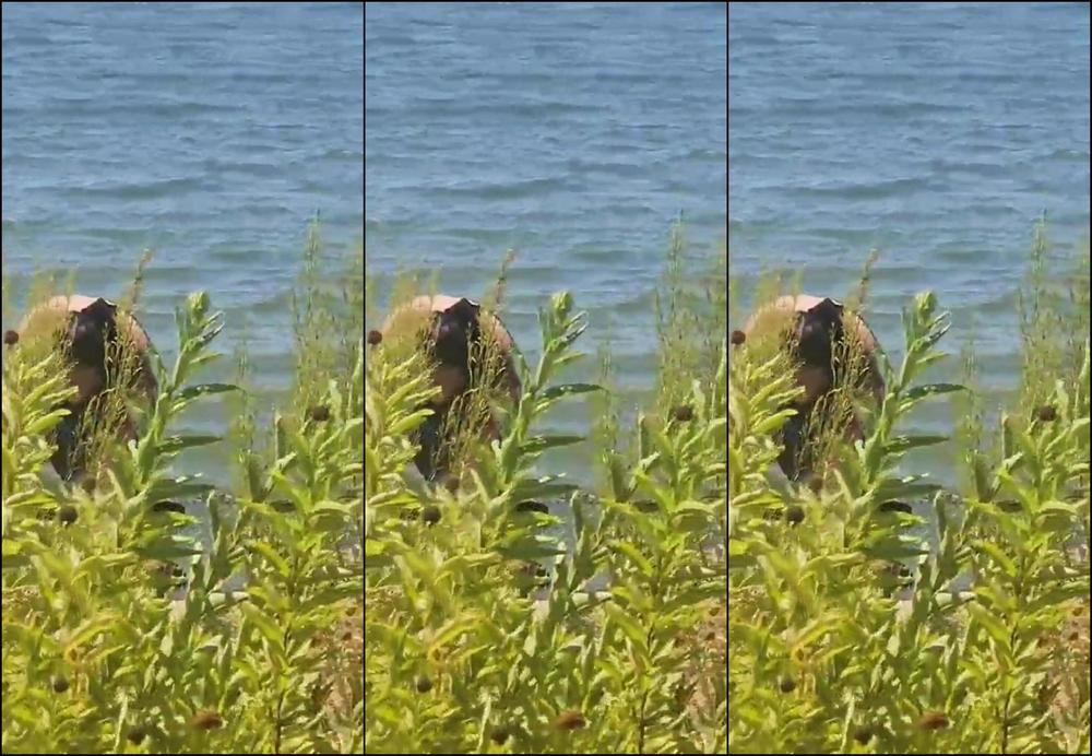 "Mom Wants To Breed" Role Play, Acting, Amateur Spy, Caught Masturbating, Caught, Almost Caught, Watching, Kitten, Masturbating Outside, Public Exhibitionist, Exhibitionist Wife, Exhibitionist, Slut, Public, Big Natural Tits, Suggest Mom Wants To Bre