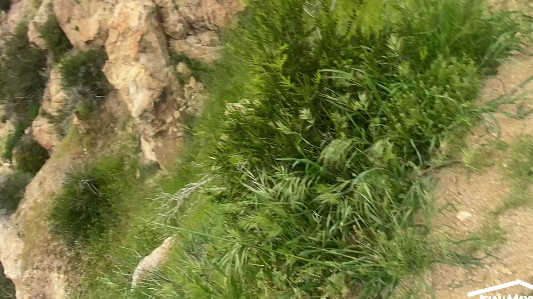 "IsiahMaxwell" bbc, cum swallowers, hiking, outdoors, petite Demi Hawks goes on a hike with me that turns freaky manyvids