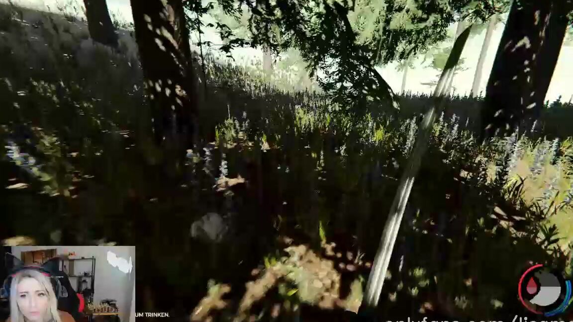 Lisamaus Std Stream Teil The Forest