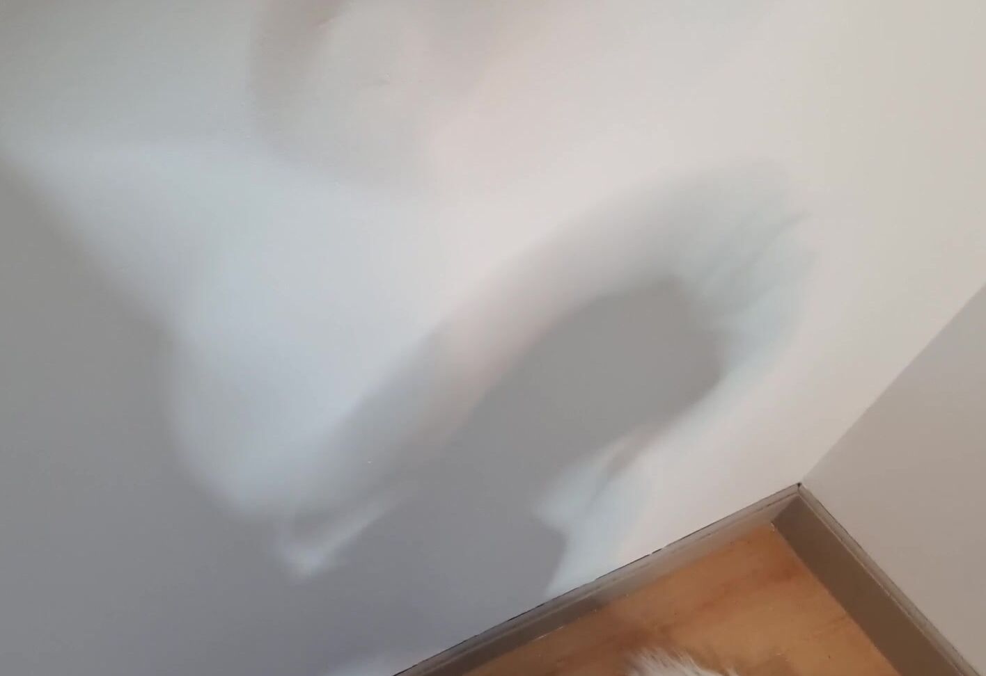 Laurenwalker 47682044_video_2022-10-21_11-34 MYM fans MYM fans