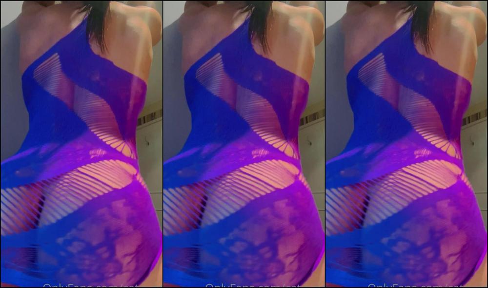 Catevans 2765311141 02 05 2023 Cat Here