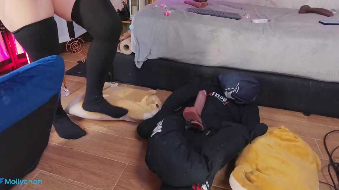 mollyflwers 2024-11-13 15-50-47 794 web cam