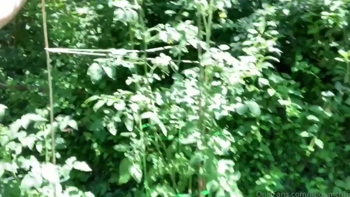 Goddess Christine Nicknamed Findomchristine Onlyfans Showing Of My Goddess Green Thumb