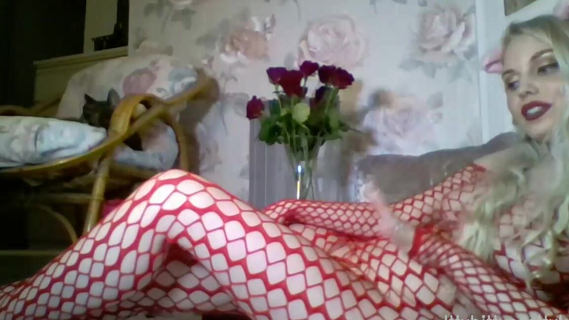 Ittybittyprettykitty In Case You Missed It Here S My Valentine S Day