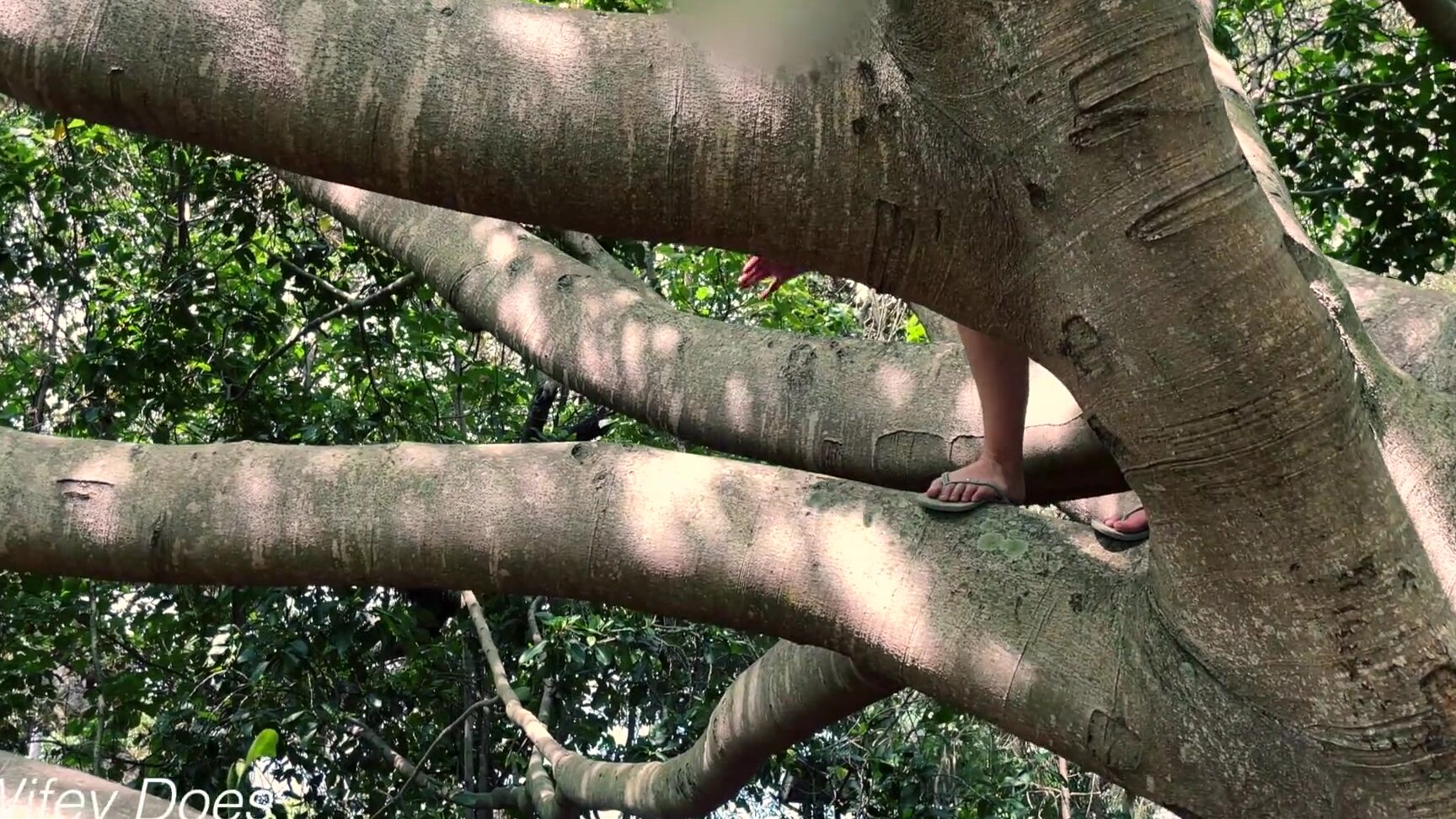 wifeydoes wifes outdoor tree climbing no panties public nudity Pornhub