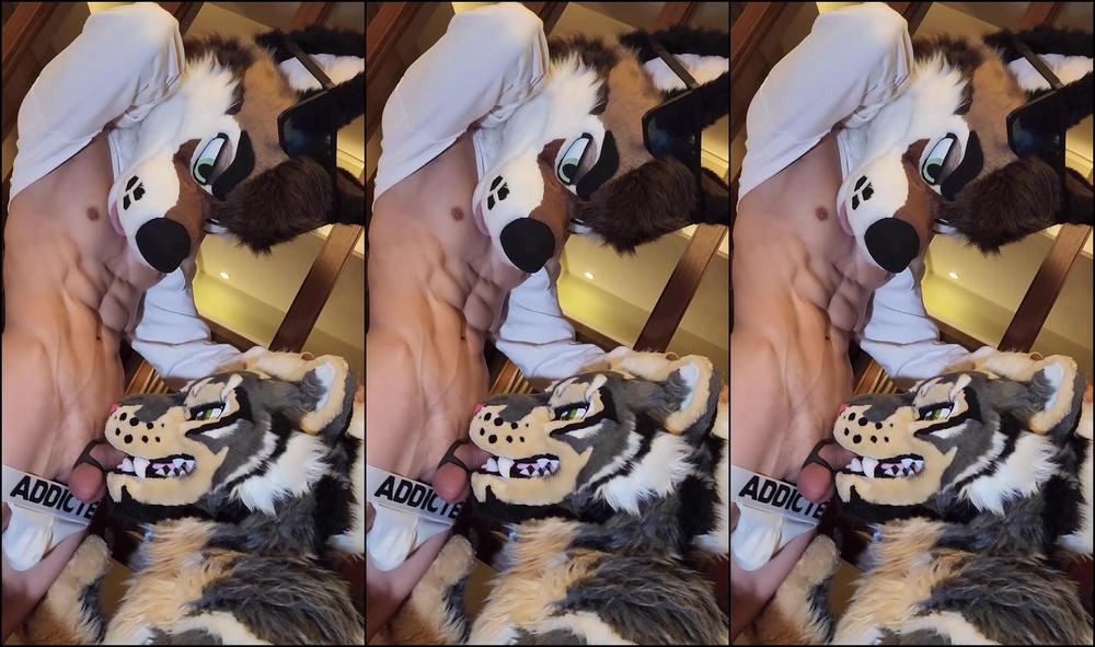 Palacewolf 1633784632 Full Video 19M19S Watch Me Tame This Tiger As I Muzzle Fu 01 0I0363J05Bbol1Mnter44 Source