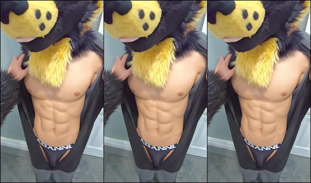 Palacewolf 0I0Xt1Akt2Agxhg2Ve0Rx 1920