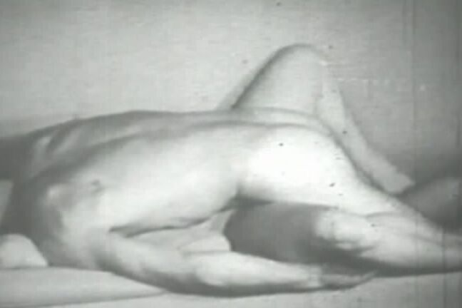 "Various artists" Allsex Reel Old Timers 12 Gentlemen's Video