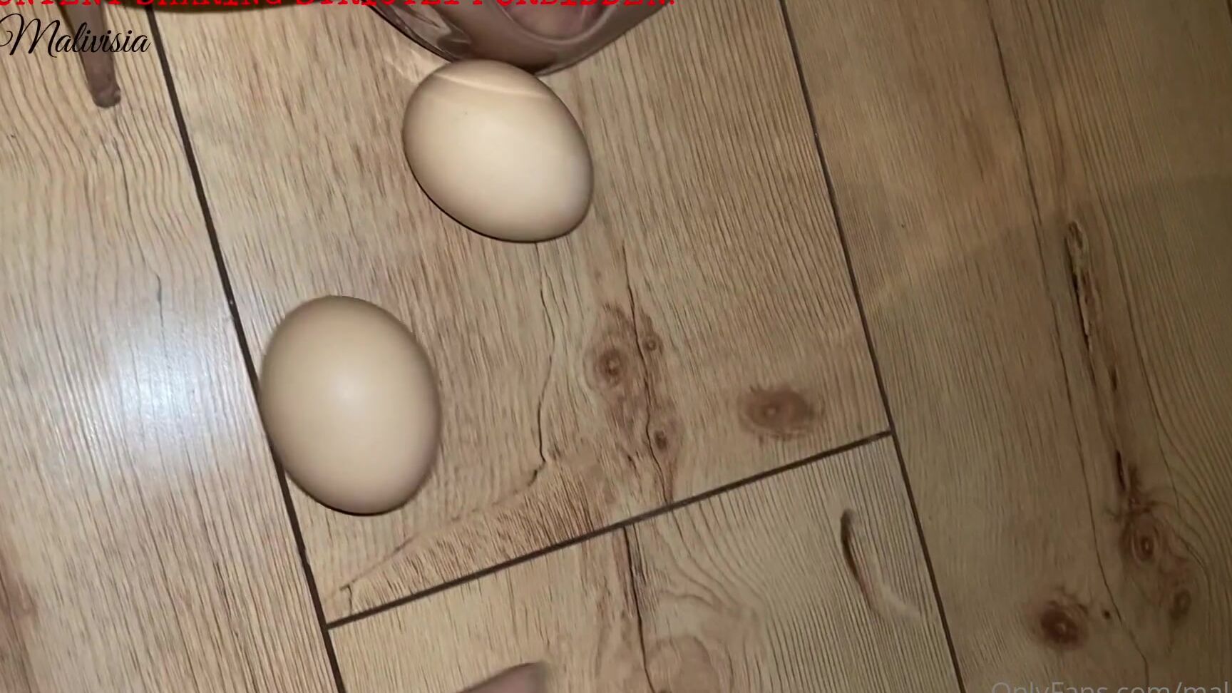 Malivisia Be Careful With Your Eggs When Coming