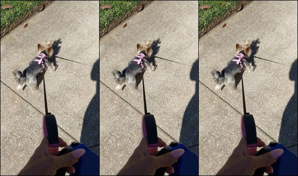 Biancabeauchamp 2018 04 05 Wjlqt9Csaymsiwtxyeep8Uybl2Tuqjjt