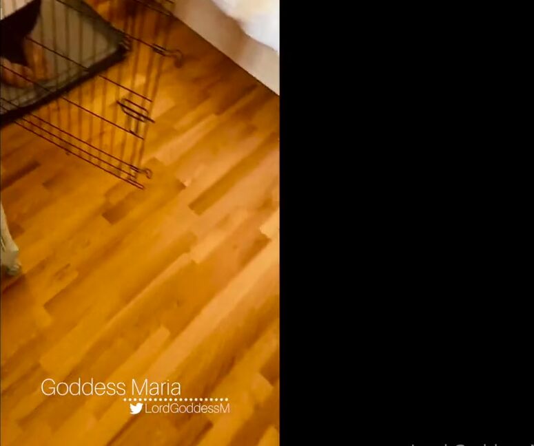 Lord Goddess Maria Onlyfans On What Would Be The Last Day Of The Trial Live In Slaves Week With Me I Decided To Book A Couple Xw0P