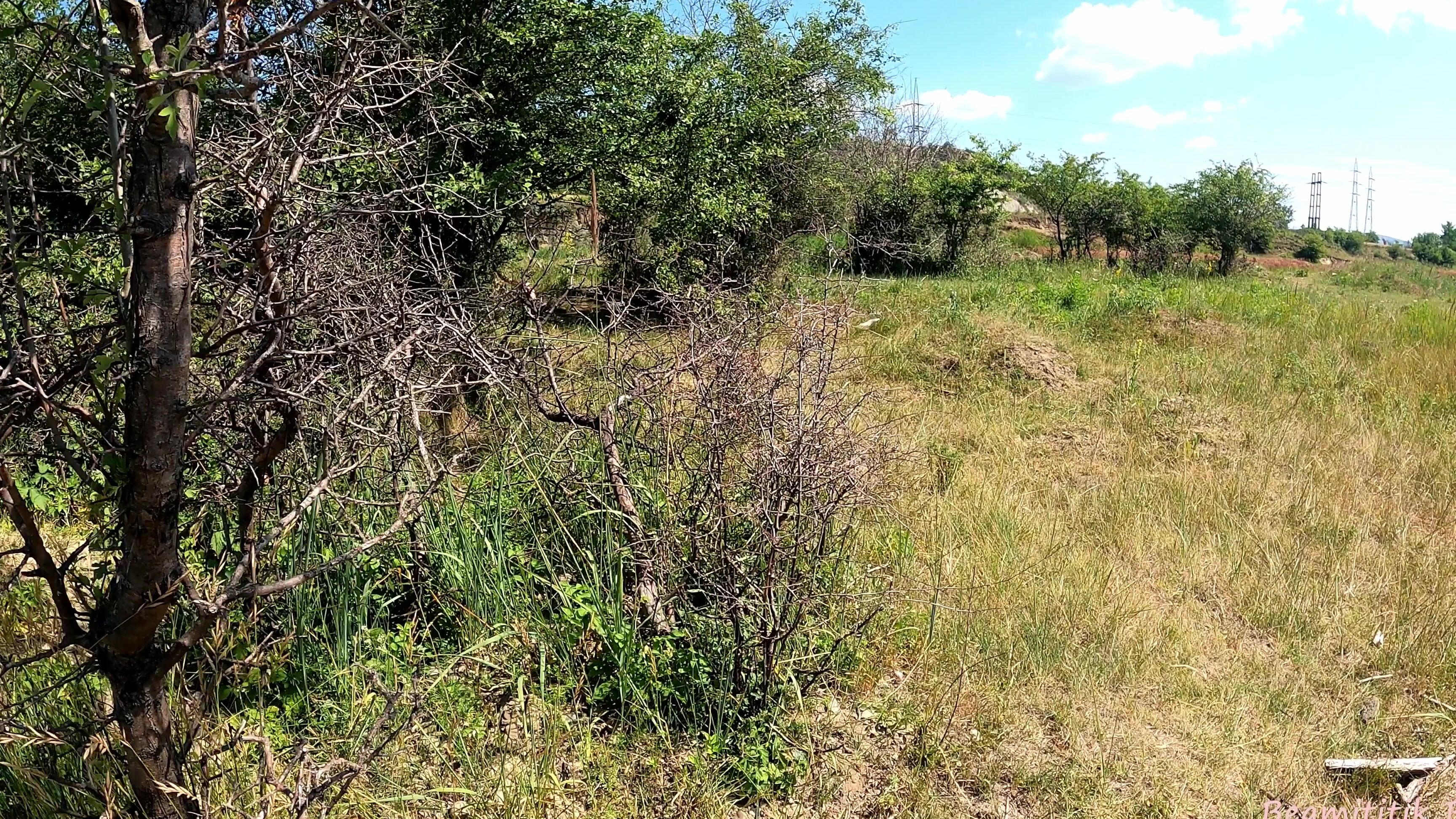 Beamititik Fansly 088