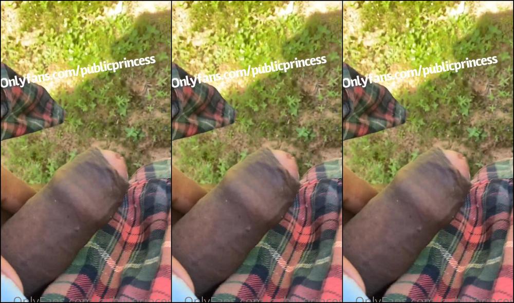 Publicprincess It S So Hot Out Had To Let My Breathe Saw This Guy Walking Through The Park So I