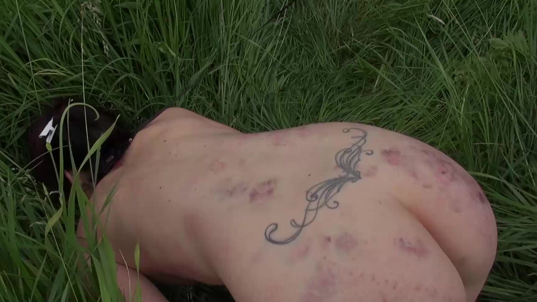 Queensnake Nettle Puppy May