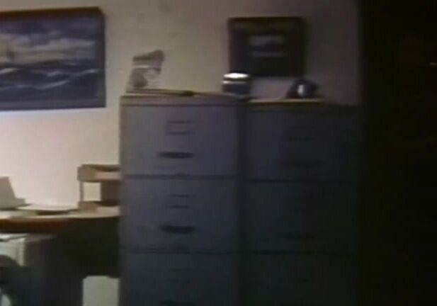 "Desiree Cousteau, Desiree West, John Leslie, Joey Silvera" classic Daddy's Little Girl gourmet video