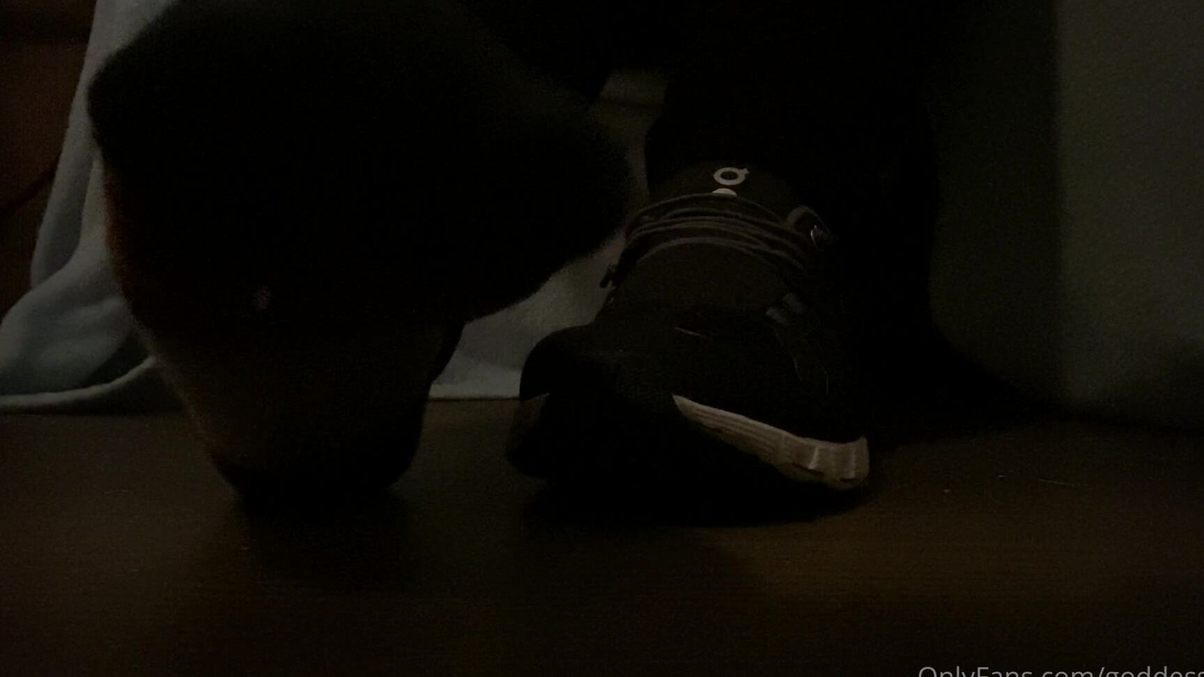 Findomfootfairy Foot Worship Get Down On Your Knees And Press