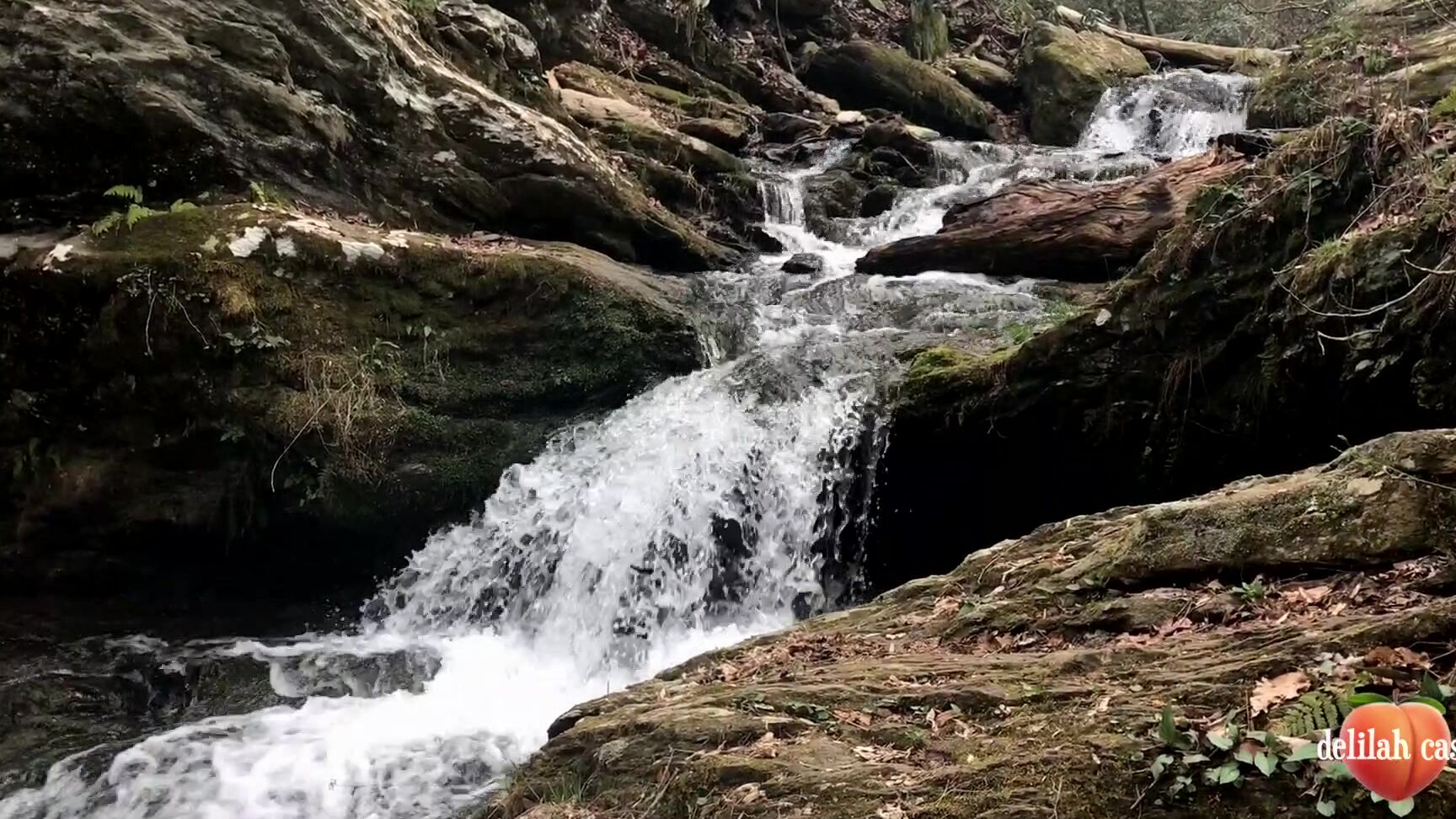 Anal, Cosplay, Easter, Food Masturbation, Outdoors delilah cass risky carrot fuck outside anal plug ManyVids