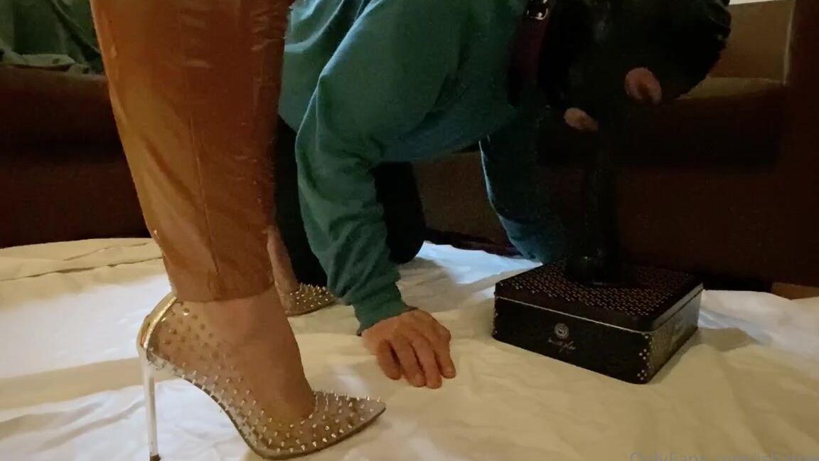 Ishameless Nicknamed Ishamelesss Onlyfans2