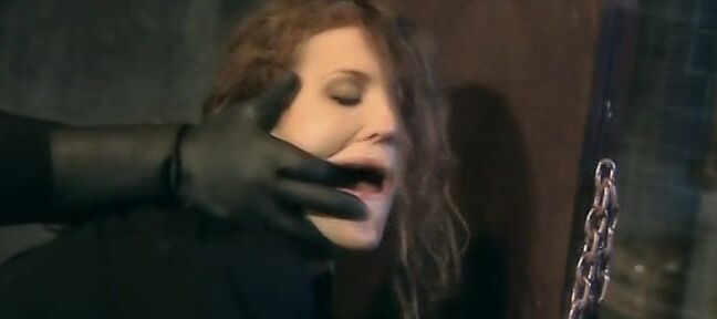 "Asha Bliss, Kathia Nobili (as Caty Combell), Jennifer Love, Juliette Shyn, Renata Black, Blue Angel (as Viva Style), Alena (as Alona), Cayenne Klein, Antonio Ross (as Amir), Cristian Devil (as Cristian), Dieter Von Stein, Horst Baron (as Horst), Zen