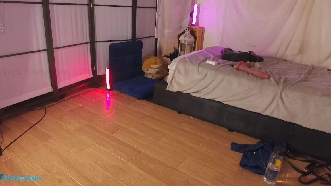 mollyflwers 2024-11-14 18-14-05 129 web cam