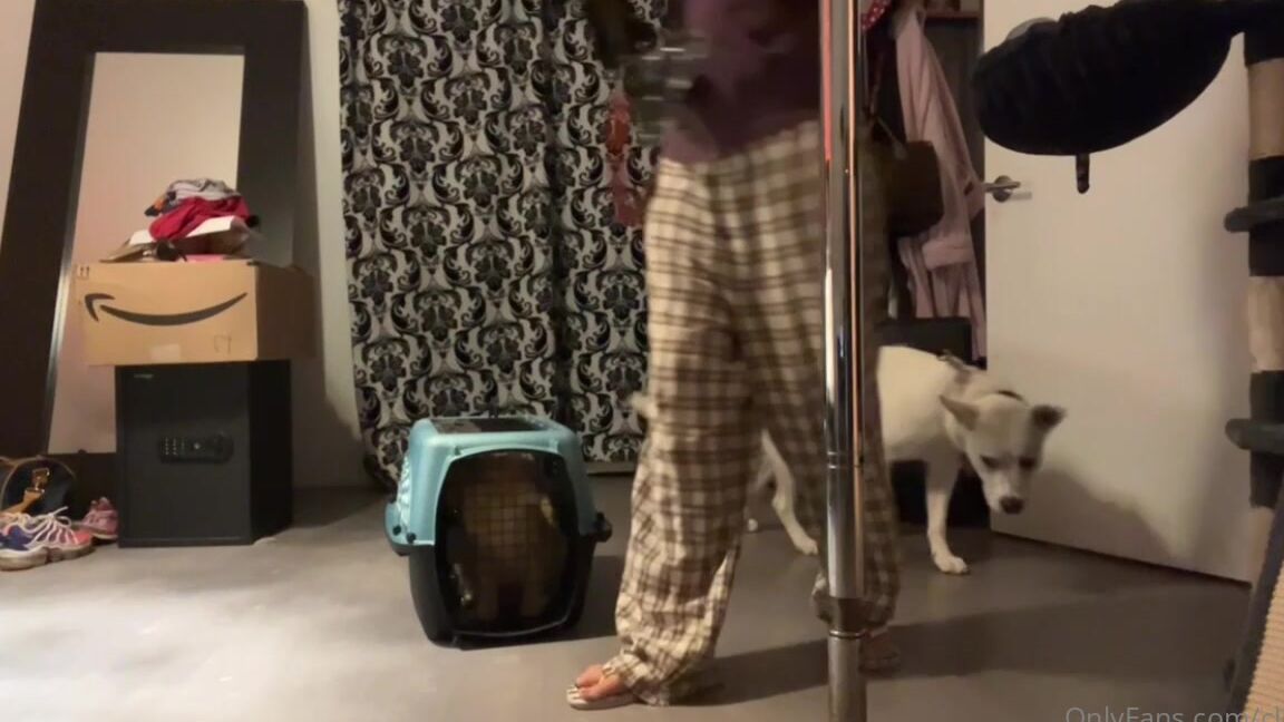 Clca69 2600973392 09 16 2022 Learning To Train Tofu To Get A Long With The Swissy And Kiki