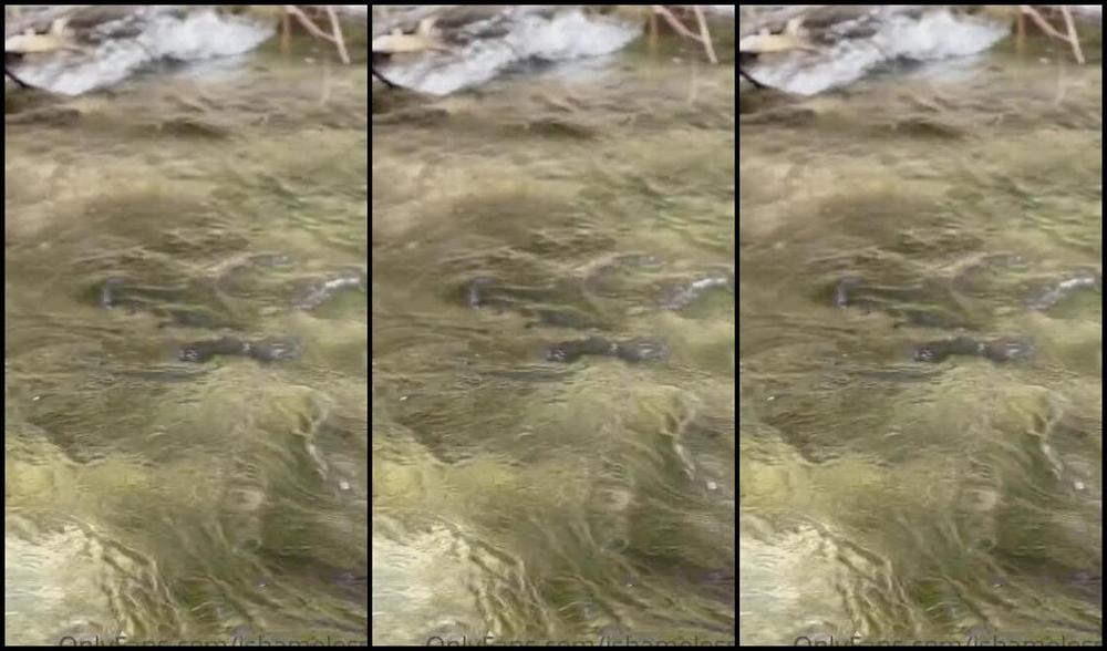 Ishameless Nicknamed Ishamelesss Onlyfans Arxidoukas